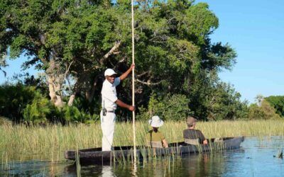 Okavango Delta: Faszination Botswana