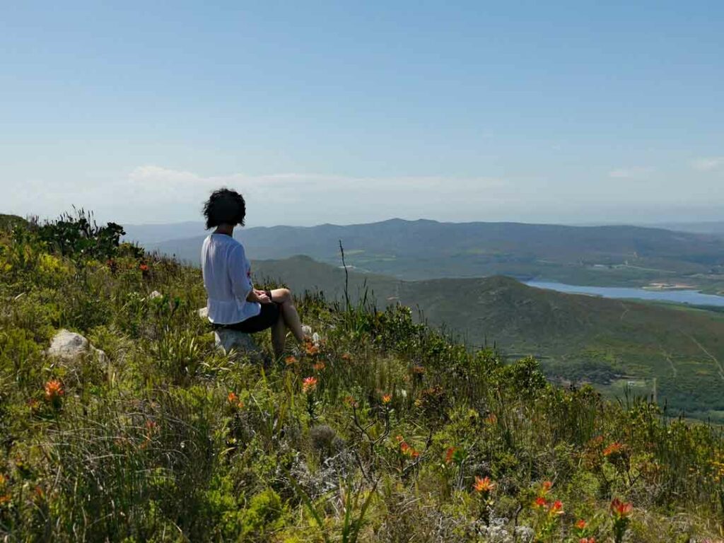 Panoramablick in Grootbos, Fynbos
