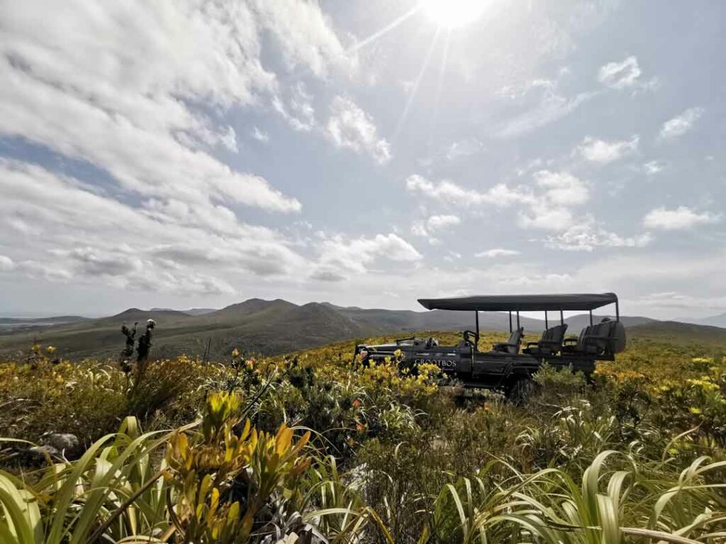 Das Safari Auto der Grootbos Lodge in Fynbos, Südafrika
