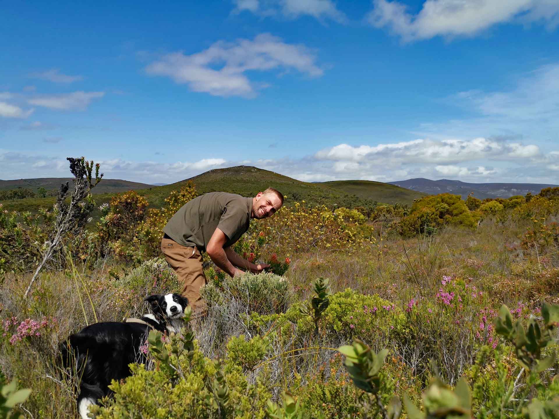 Fynbos, Südafrika: Der Leopard ist zurück an der Garden Route