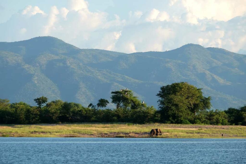 Elefant am Kariba-See
