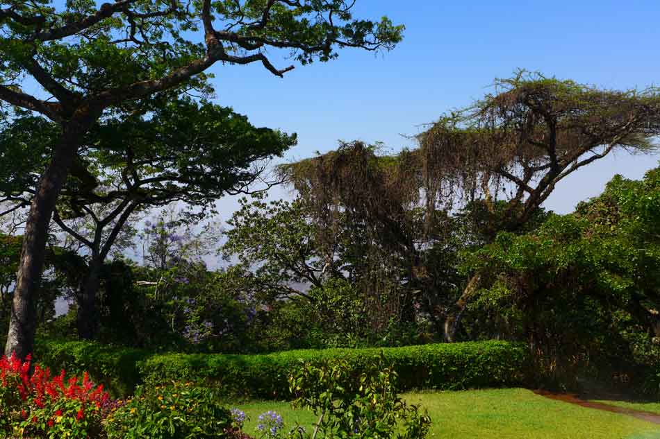 Gepfleger Park in den Hochebenen Malawis