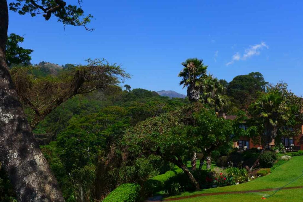 Parkanlage in den Bergen Malawis