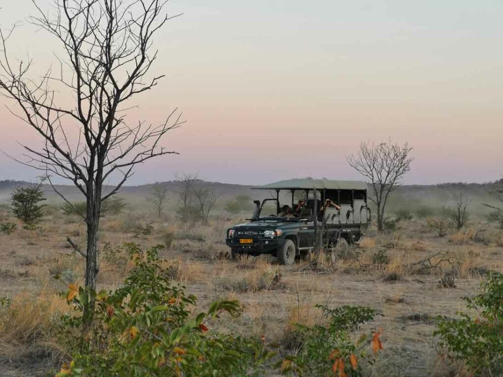 Safari-Landcruiser in der Natur