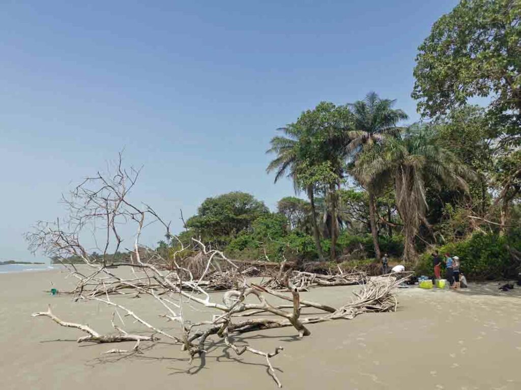 Strand Guinea-Bissau