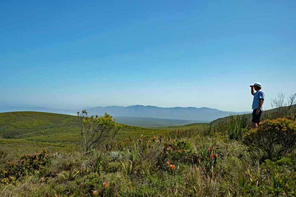 Überblick über das Gelände Fynbos, Grootbos