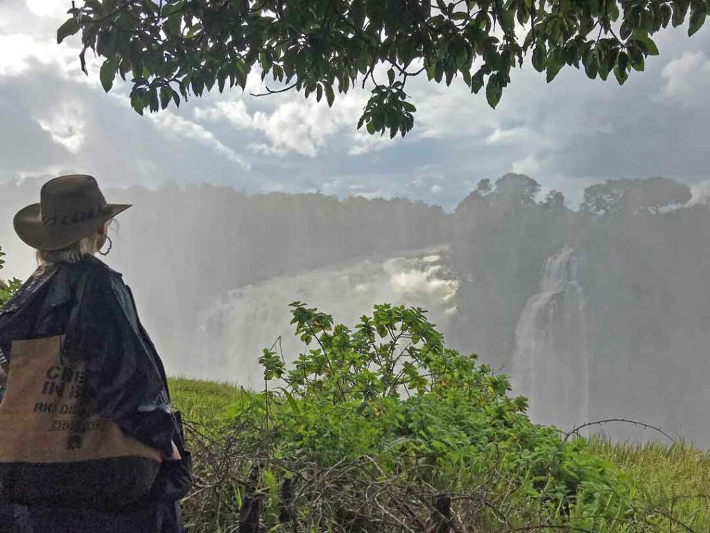 Blick auf die Victoriafälle