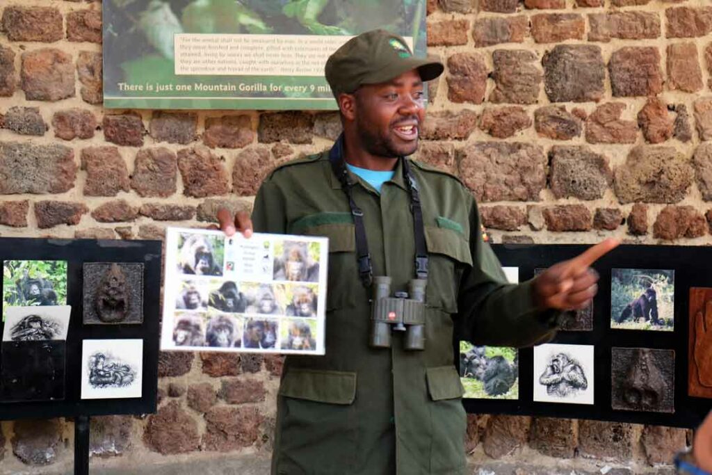 Uganda Gorillas Guide Vortrag