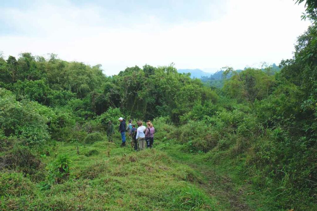 Trekkinggruppe im Dschungel