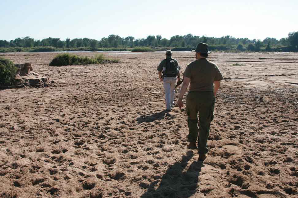 Safari-Trekking im Krüger Nationalpark