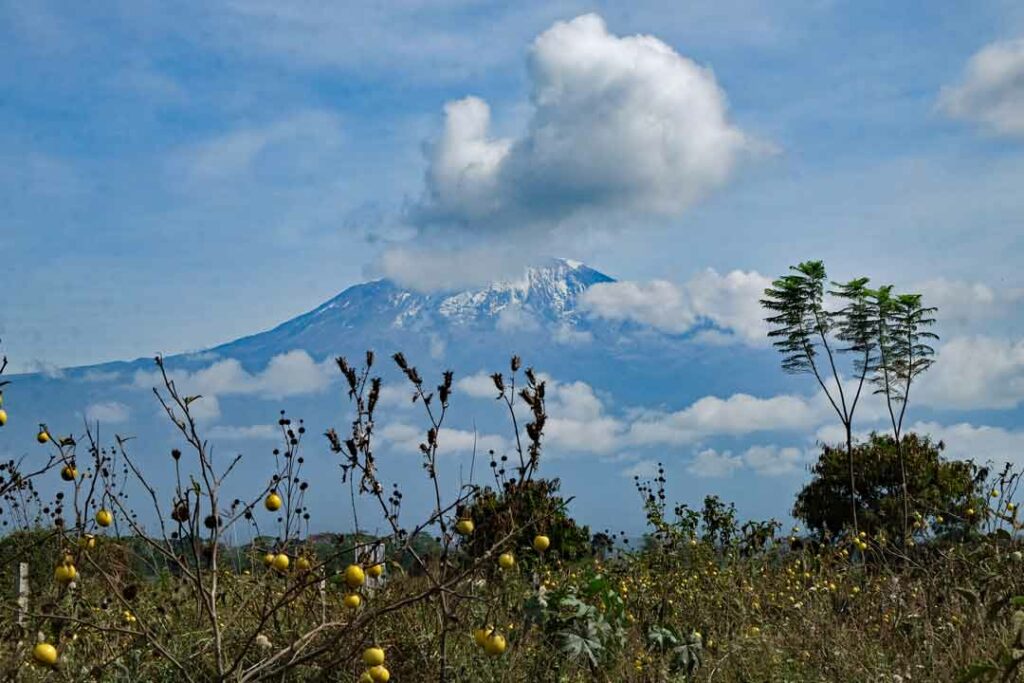 Blick auf den Kilimanjaro in Tansania