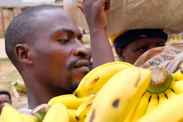 Bananen Uganda