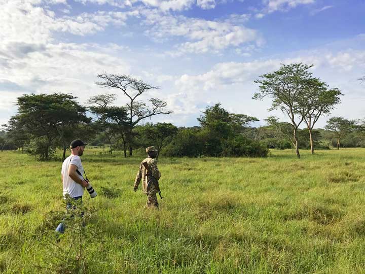 Safari im Uganda Urlaub