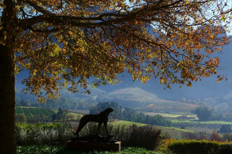 Kunstskulptur eines Leopards in den Winelands in Südafrika