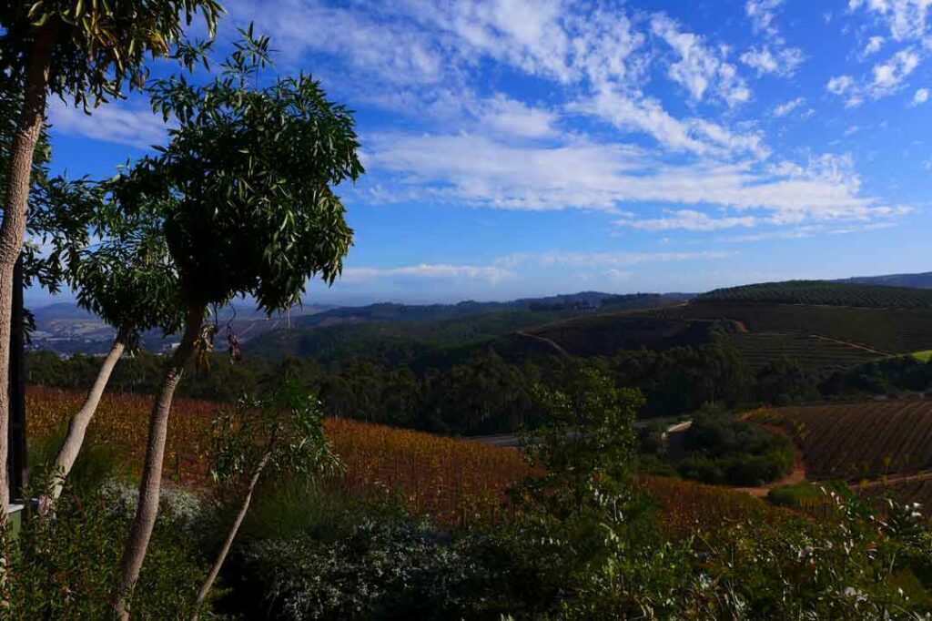 Blick in die Landschaft der Winelands in Südafrika