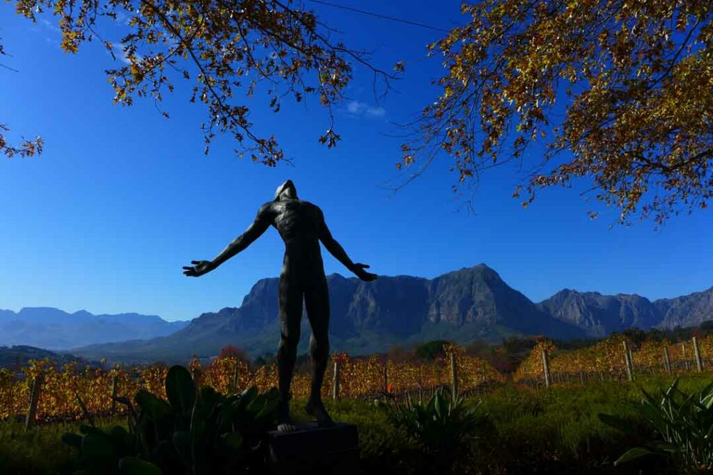 Kunstskulptur in den Winelands in Südafrika