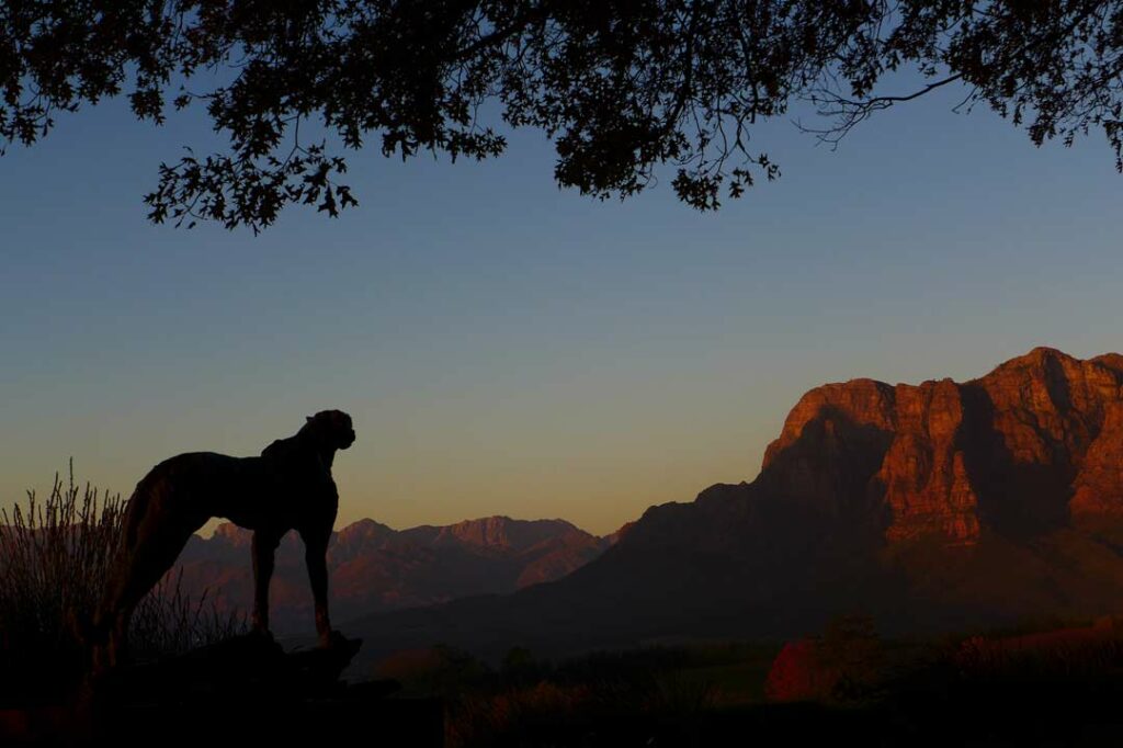 Leopardenskulptur in der Abenddämmerrung